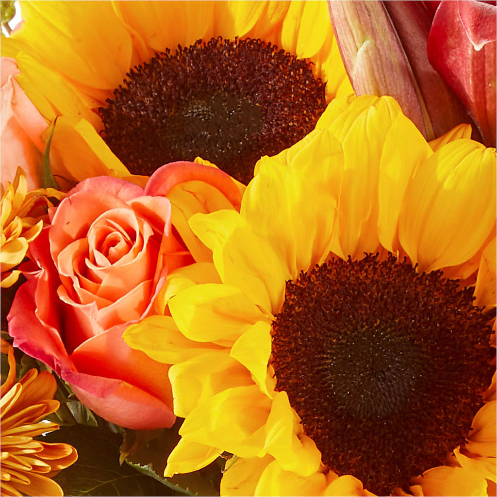 Acorn Lane Bouquet – HELEN'S FLORIST AND GARDEN CENTER, Whitehouse Station NJ