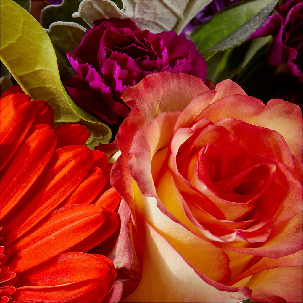Sangria Bouquet – HELEN'S FLORIST AND GARDEN CENTER, Whitehouse Station NJ