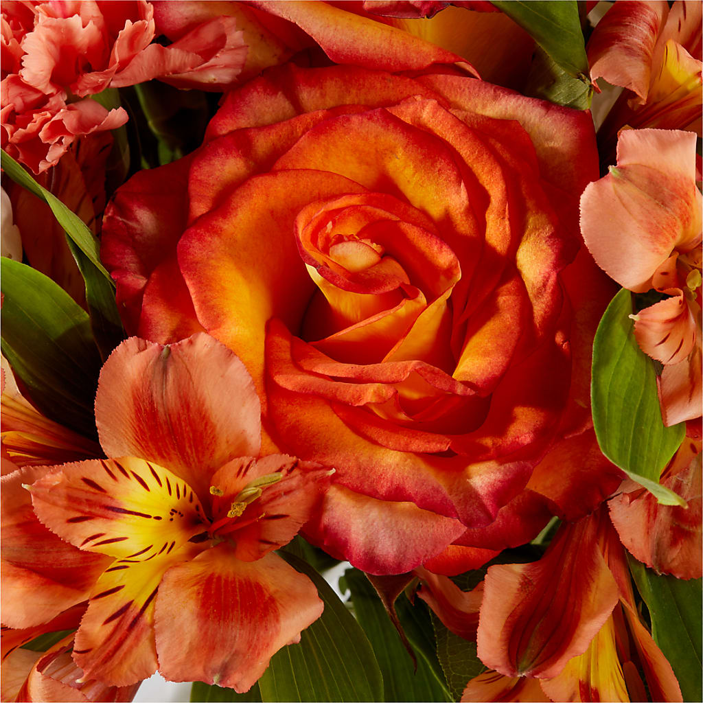 Apricot Glow Bouquet – HELEN'S FLORIST AND GARDEN CENTER, Whitehouse Station NJ
