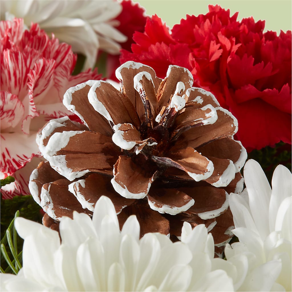 Candy Cane Lane Bouquet – HELEN'S FLORIST AND GARDEN CENTER, Whitehouse Station NJ