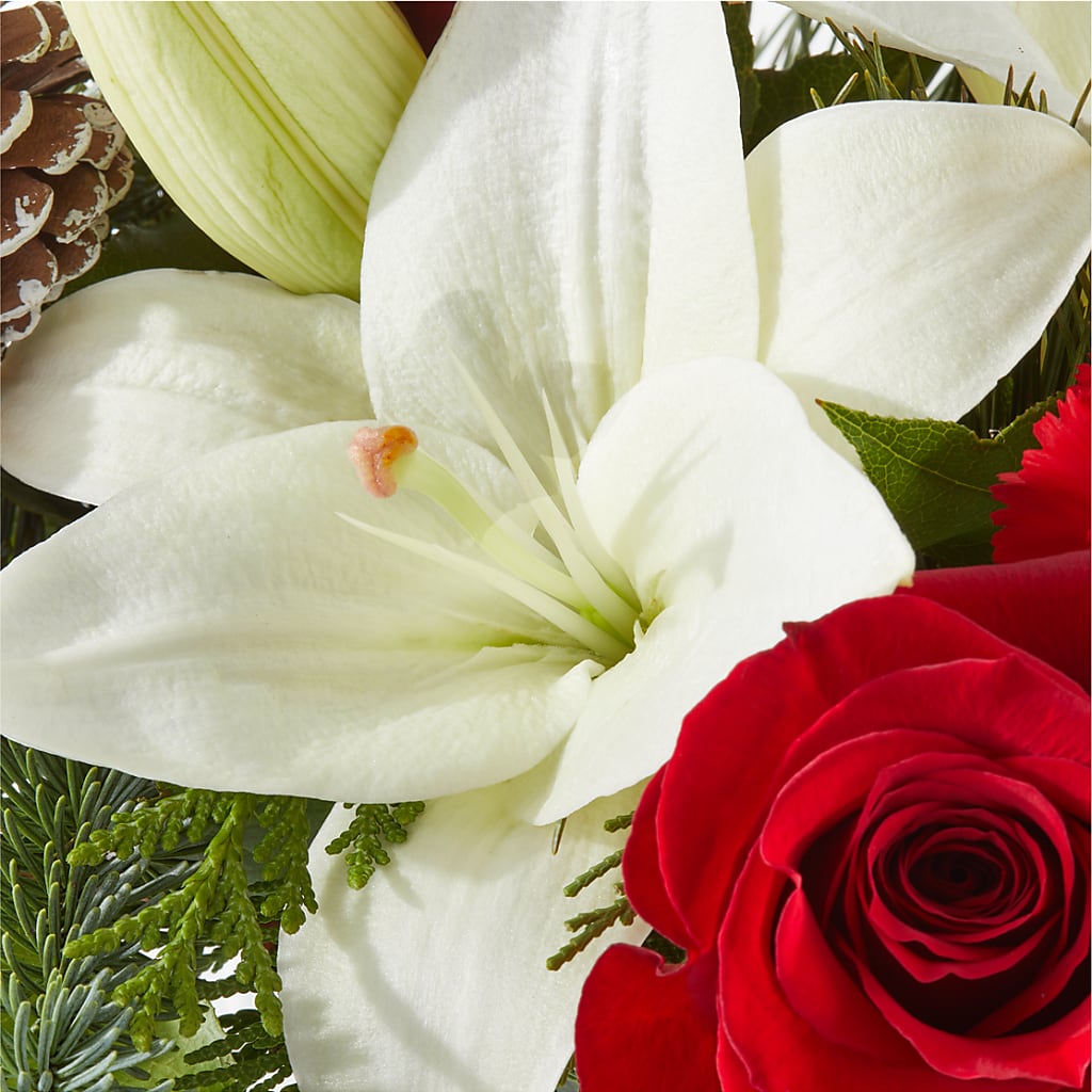 Oh So Jolly Bouquet – HELEN'S FLORIST AND GARDEN CENTER, Whitehouse Station NJ