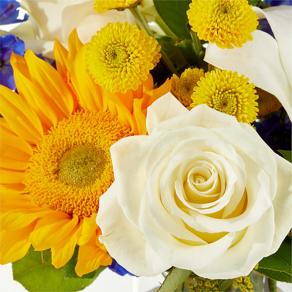 Stargazing Bouquet – HELEN'S FLORIST AND GARDEN CENTER, Whitehouse Station NJ