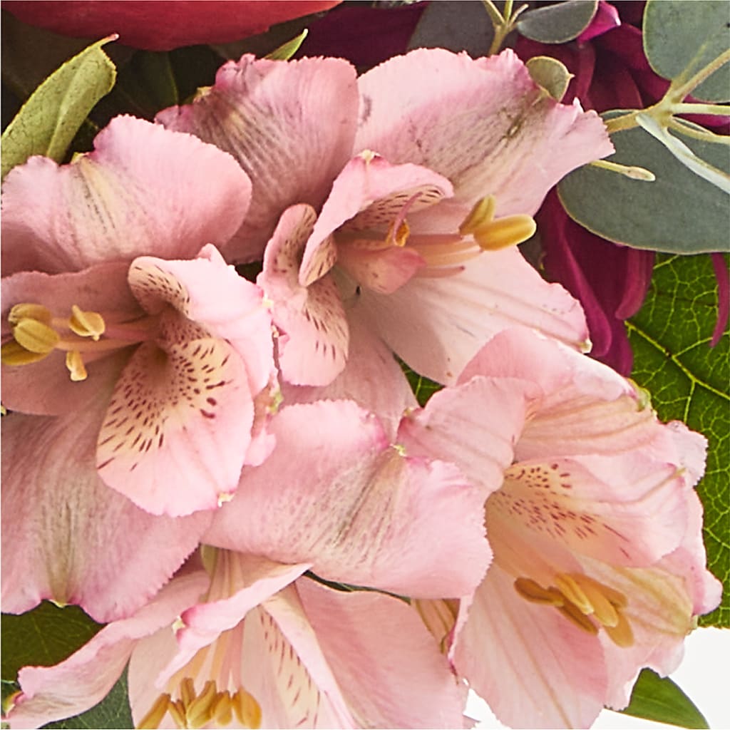 Berry Cobbler Bouquet – HELEN'S FLORIST AND GARDEN CENTER, Whitehouse Station NJ