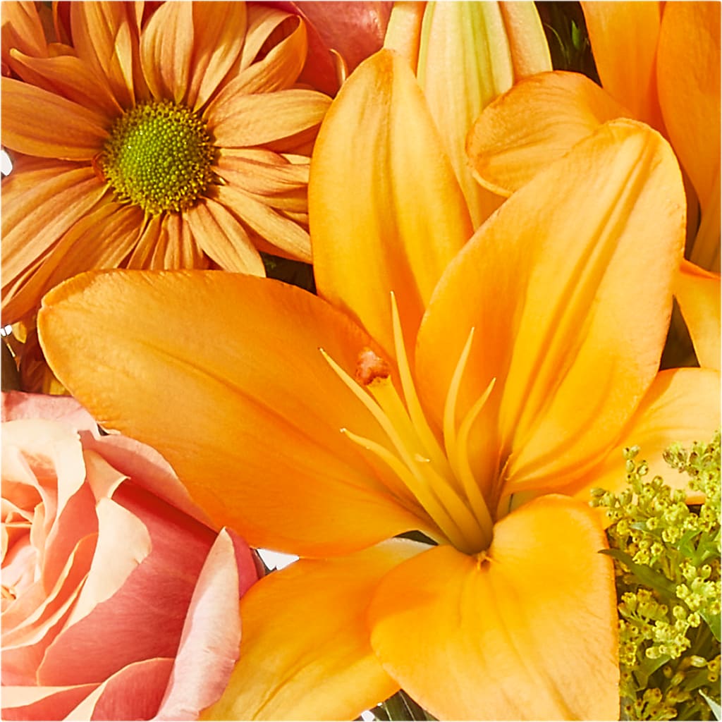 Harvest Hayride Bouquet – HELEN'S FLORIST AND GARDEN CENTER, Whitehouse Station NJ