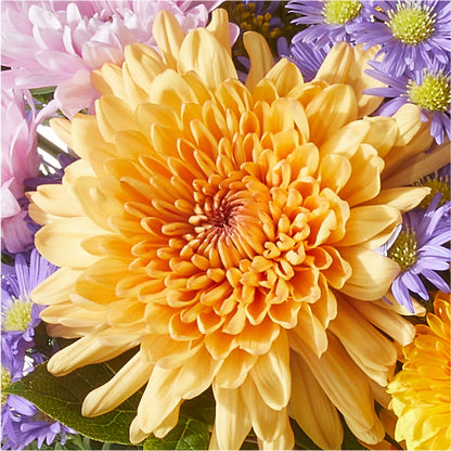 Countryside Bouquet – HELEN'S FLORIST AND GARDEN CENTER, Whitehouse Station NJ