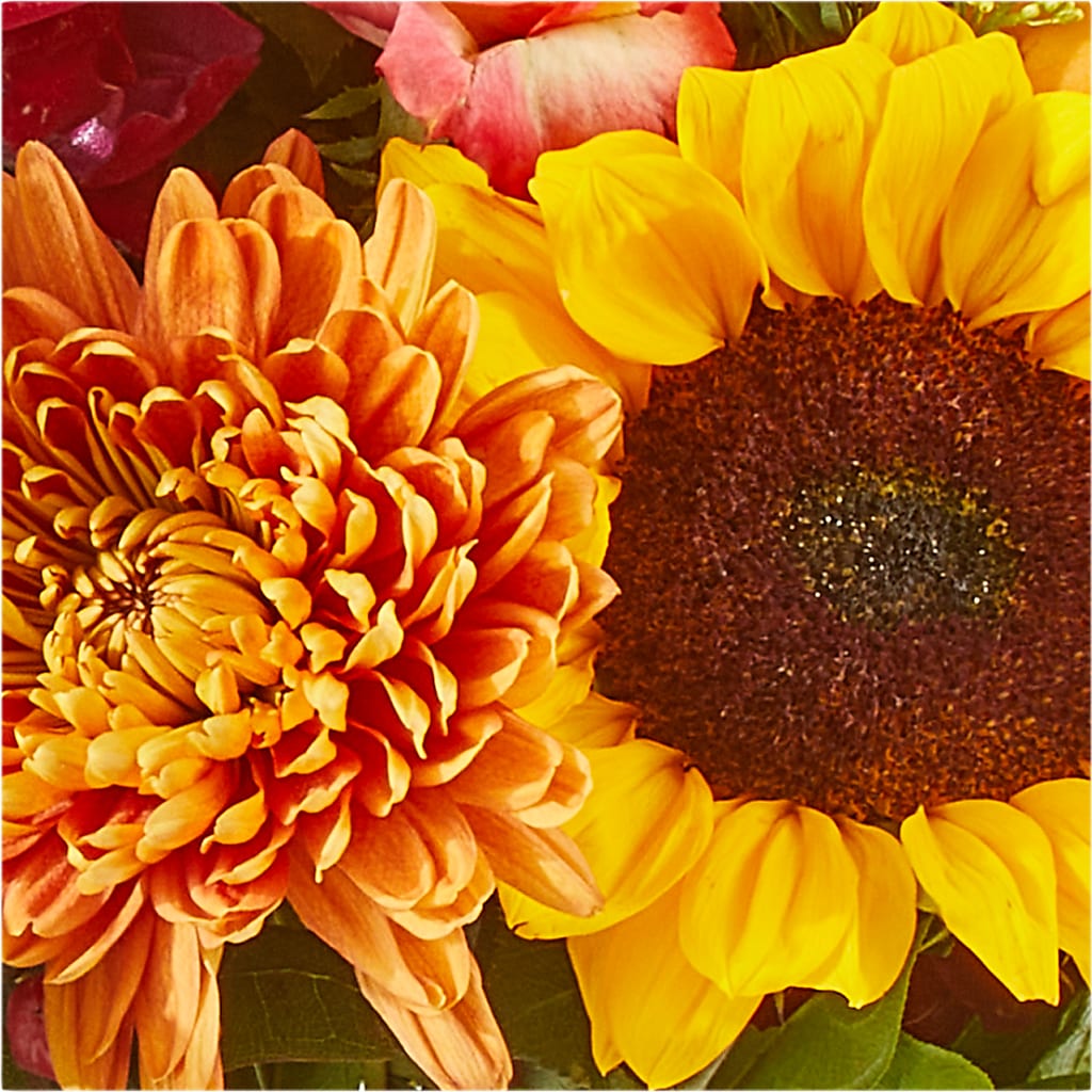Seasons Change Bouquet – HELEN'S FLORIST AND GARDEN CENTER, Whitehouse Station NJ