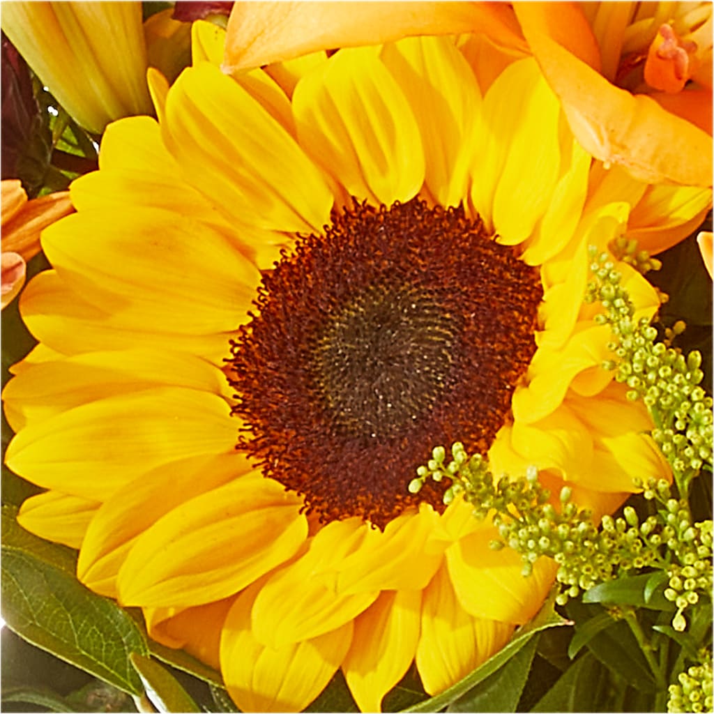 Seasons Change Bouquet – HELEN'S FLORIST AND GARDEN CENTER, Whitehouse Station NJ