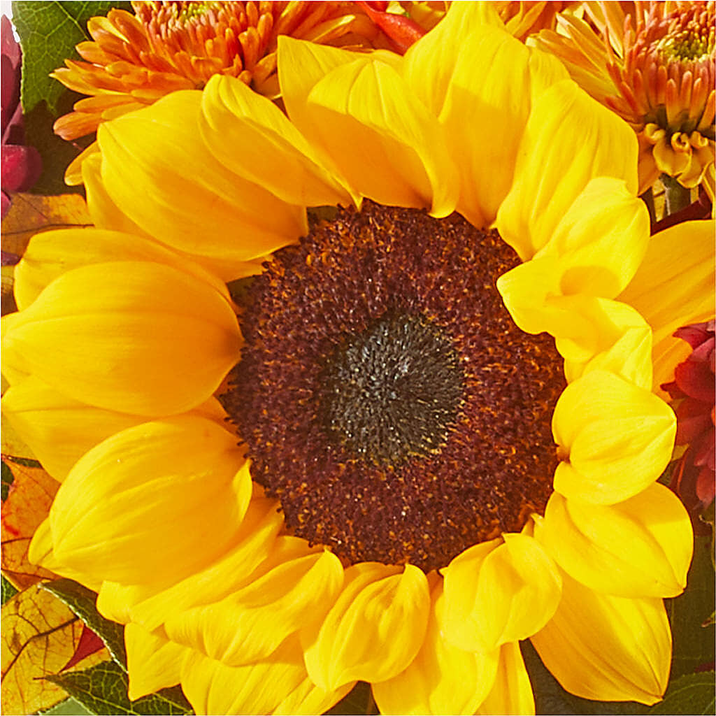 Sunny Side Bouquet – HELEN'S FLORIST AND GARDEN CENTER, Whitehouse Station NJ