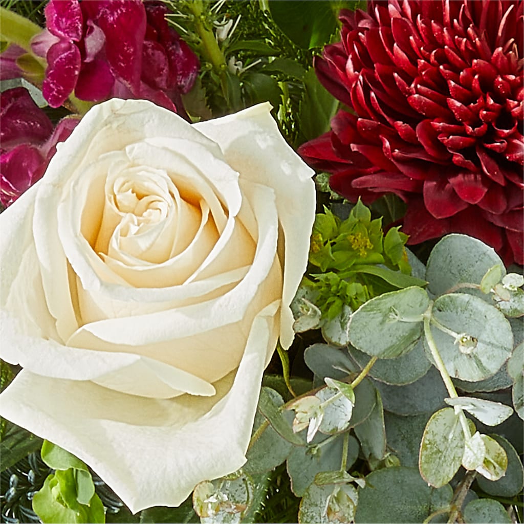 Cranberry Fizz Bouquet – HELEN'S FLORIST AND GARDEN CENTER, Whitehouse Station NJ