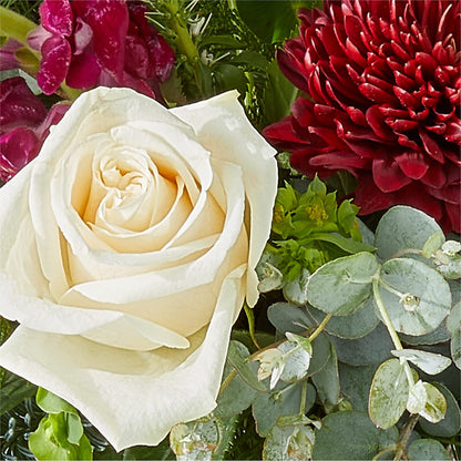 Cranberry Fizz Bouquet – HELEN'S FLORIST AND GARDEN CENTER, Whitehouse Station NJ