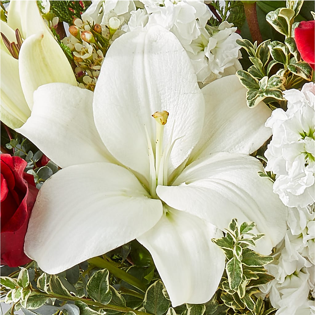 Twinkle Lights Bouquet – HELEN'S FLORIST AND GARDEN CENTER, Whitehouse Station NJ