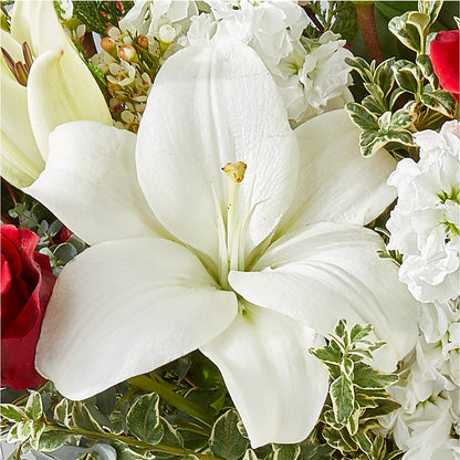 Twinkle Lights Bouquet – HELEN'S FLORIST AND GARDEN CENTER, Whitehouse Station NJ