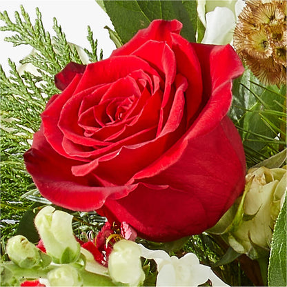 Deck the Halls Bouquet – HELEN'S FLORIST AND GARDEN CENTER, Whitehouse Station NJ