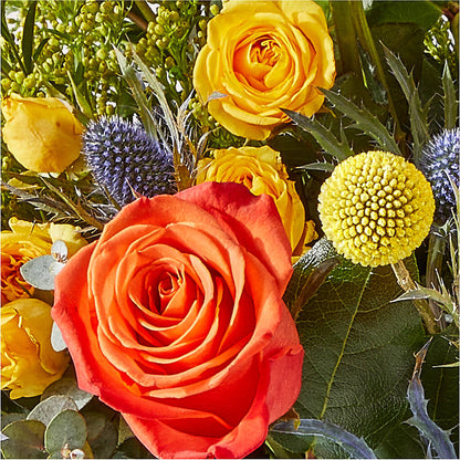Disco Bouquet – HELEN'S FLORIST AND GARDEN CENTER, Whitehouse Station NJ