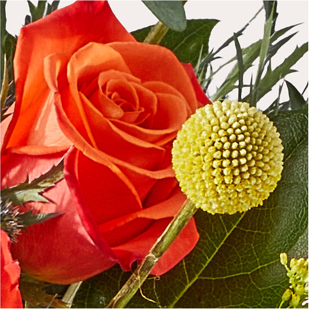 Disco Bouquet – HELEN'S FLORIST AND GARDEN CENTER, Whitehouse Station NJ