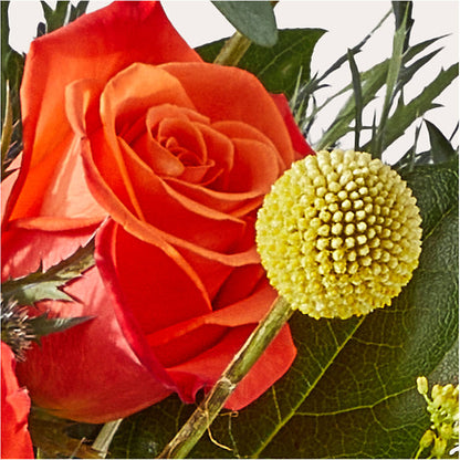 Disco Bouquet – HELEN'S FLORIST AND GARDEN CENTER, Whitehouse Station NJ
