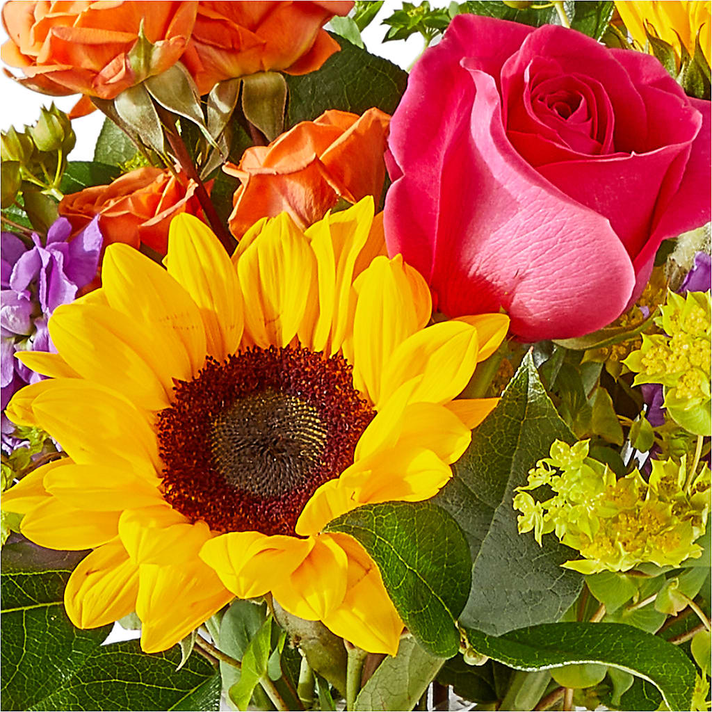 Vibrant Greetings Bouquet – HELEN'S FLORIST AND GARDEN CENTER, Whitehouse Station NJ