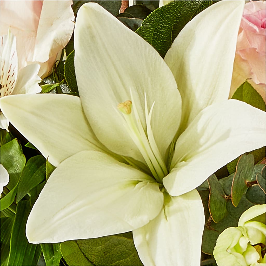 Ballet Slippers Bouquet – HELEN'S FLORIST AND GARDEN CENTER, Whitehouse Station NJ