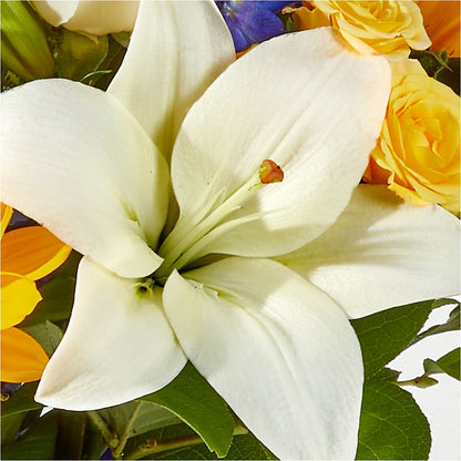 Wonderfully Sunny Bouquet – HELEN'S FLORIST AND GARDEN CENTER, Whitehouse Station NJ