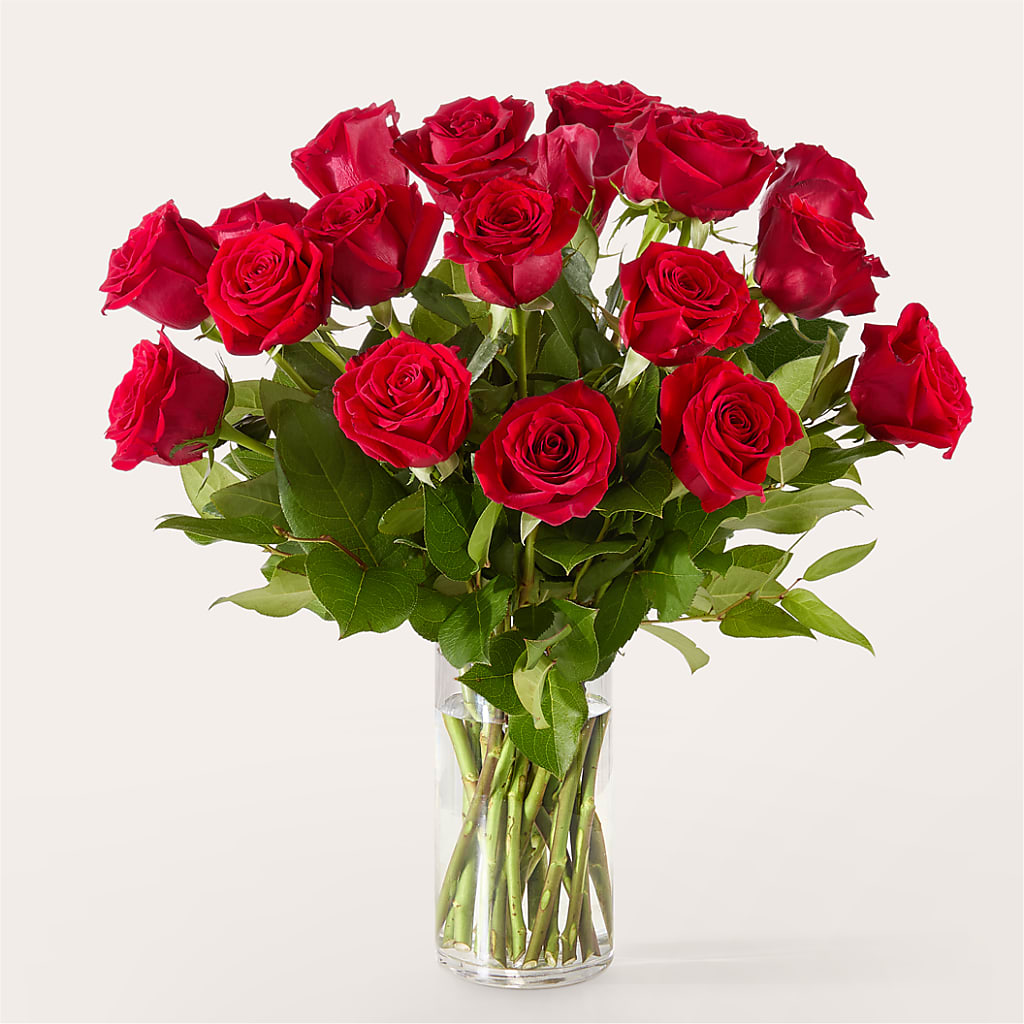 The One Red Rose Bouquet – HELEN'S FLORIST AND GARDEN CENTER, Whitehouse Station NJ