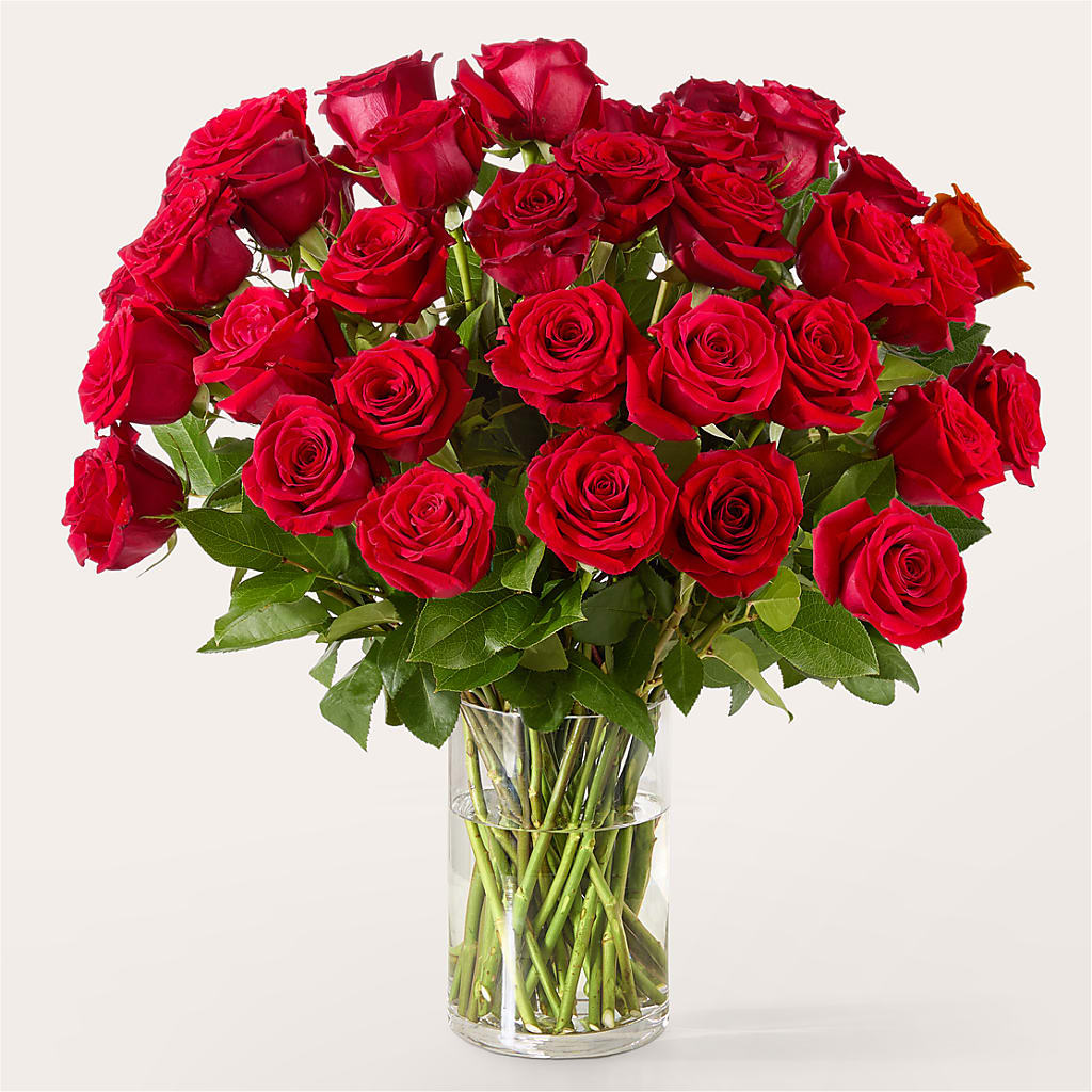 The One Red Rose Bouquet – HELEN'S FLORIST AND GARDEN CENTER, Whitehouse Station NJ
