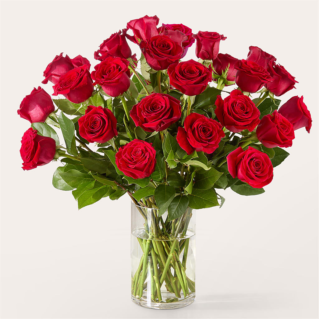 The One Red Rose Bouquet – HELEN'S FLORIST AND GARDEN CENTER, Whitehouse Station NJ
