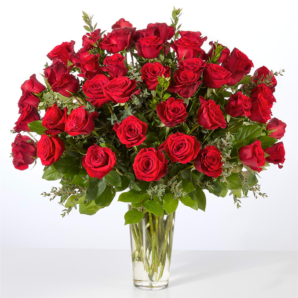 Forever Yours Fifty Stem Red Rose Bouquet – HELEN'S FLORIST AND GARDEN CENTER, Whitehouse Station NJ