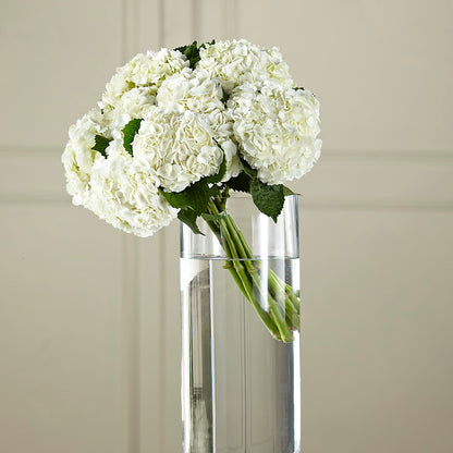 White Hydrangea Hand-Tied Bouquet – HELEN'S FLORIST AND GARDEN CENTER, Whitehouse Station NJ