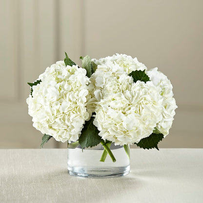 White Hydrangea Bouquet – HELEN'S FLORIST AND GARDEN CENTER, Whitehouse Station NJ