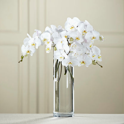 White Phalaenopsis Bouquet – HELEN'S FLORIST AND GARDEN CENTER, Whitehouse Station NJ